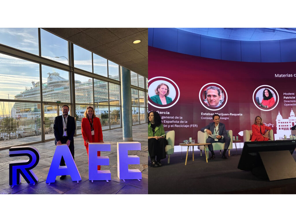 Alicia García-Franco ponente en el VII Congreso Nacional de RAEE