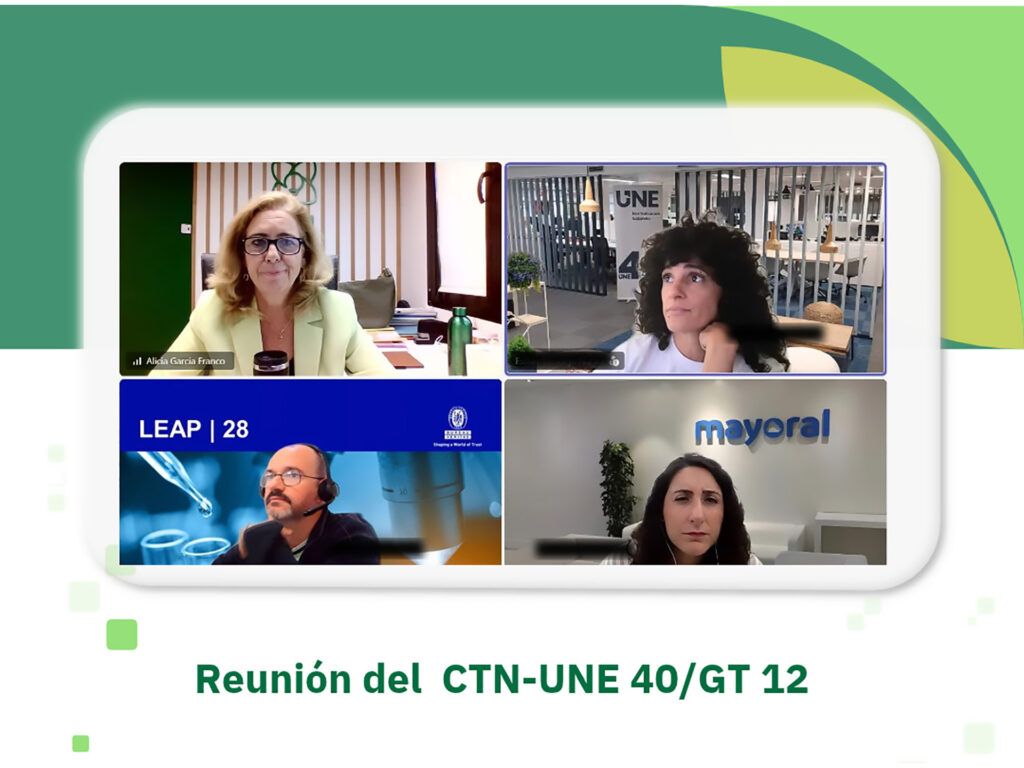 Nueva reunión coordinada por FER del Comité técnico de Normalización-UNE 40 dentro del GT 12